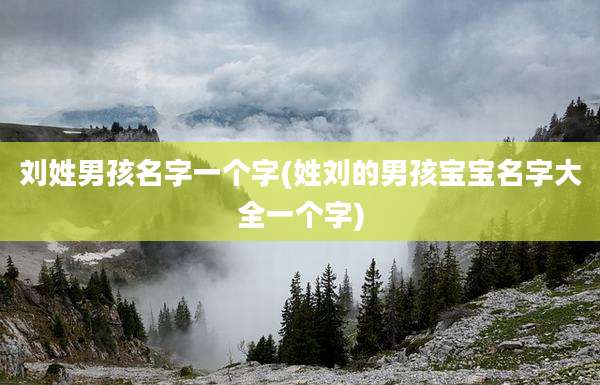 刘姓男孩名字一个字(姓刘的男孩宝宝名字大全一个字)