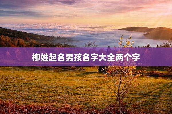 柳姓起名男孩名字大全两个字