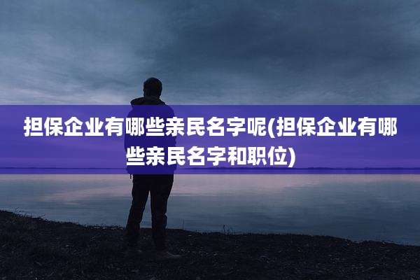 担保企业有哪些亲民名字呢(担保企业有哪些亲民名字和职位)