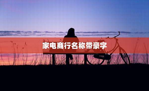 家电商行名称带豪字