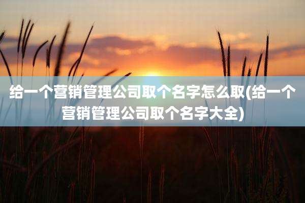 给一个营销管理公司取个名字怎么取(给一个营销管理公司取个名字大全)