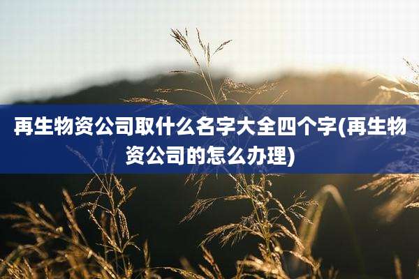 再生物资公司取什么名字大全四个字(再生物资公司的怎么办理)