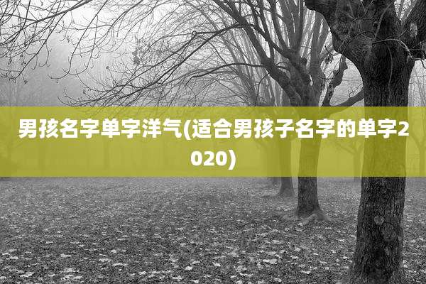 男孩名字单字洋气(适合男孩子名字的单字2020)