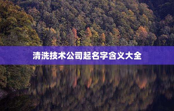 清洗技术公司起名字含义大全