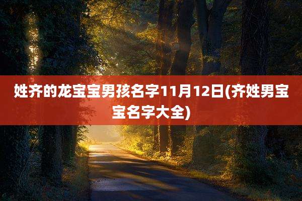 姓齐的龙宝宝男孩名字11月12日(齐姓男宝宝名字大全)