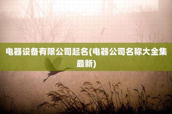 电器设备有限公司起名(电器公司名称大全集最新)