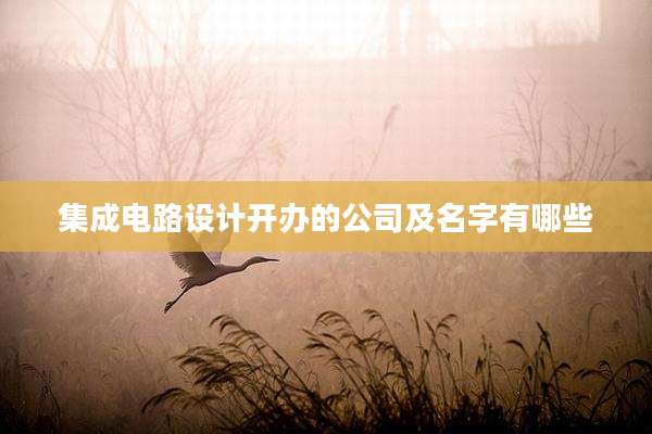 集成电路设计开办的公司及名字有哪些