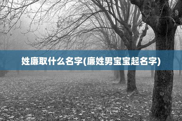 姓廉取什么名字(廉姓男宝宝起名字)