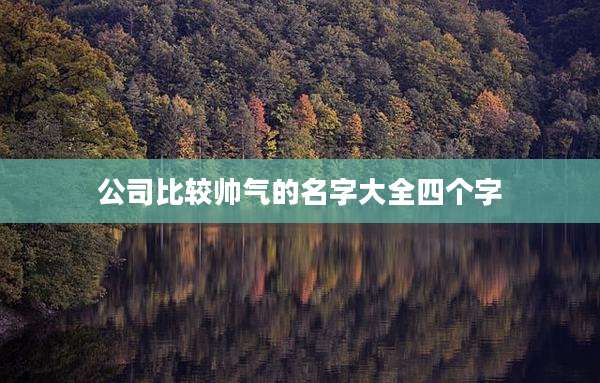 公司比较帅气的名字大全四个字