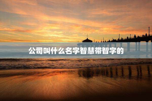 公司叫什么名字智慧带智字的