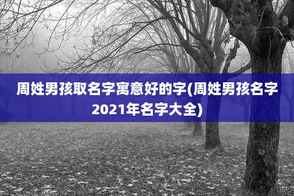 周姓男孩取名字寓意好的字(周姓男孩名字2021年名字大全)