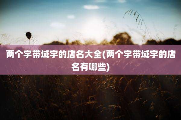 两个字带域字的店名大全(两个字带域字的店名有哪些)