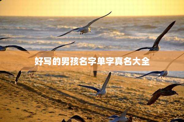 好写的男孩名字单字真名大全