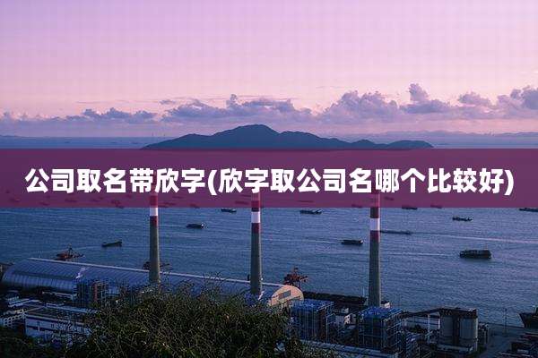 公司取名带欣字(欣字取公司名哪个比较好)