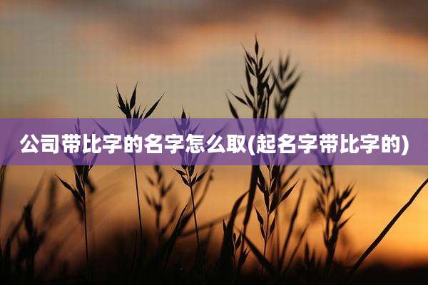 公司带比字的名字怎么取(起名字带比字的)