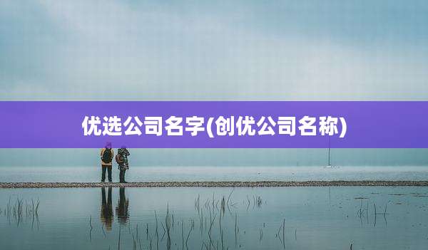 优选公司名字(创优公司名称)