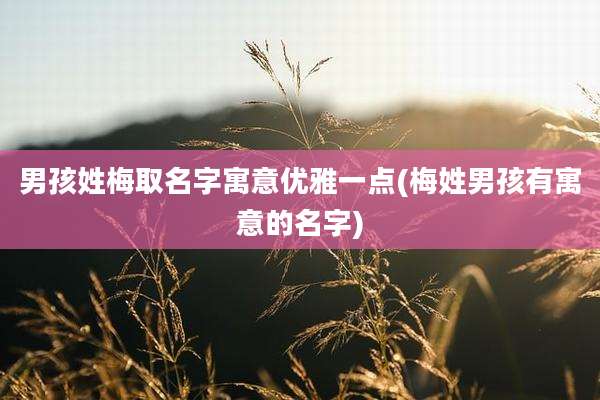 男孩姓梅取名字寓意优雅一点(梅姓男孩有寓意的名字)