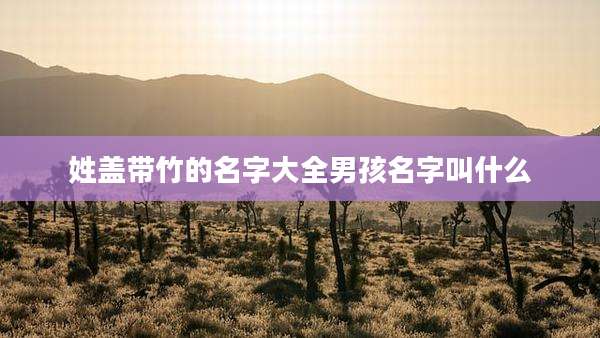 姓盖带竹的名字大全男孩名字叫什么