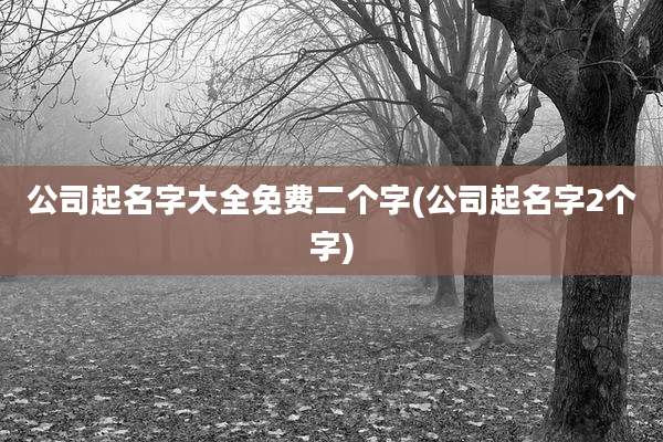公司起名字大全免费二个字(公司起名字2个字)