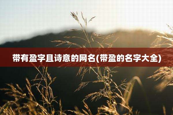带有盈字且诗意的网名(带盈的名字大全)