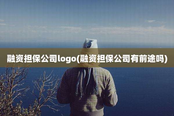 融资担保公司logo(融资担保公司有前途吗)