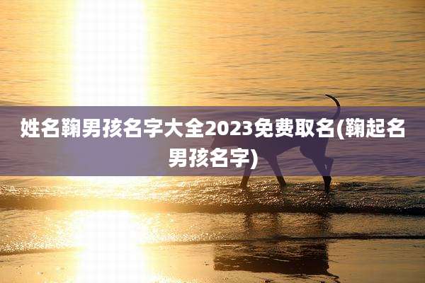 姓名鞠男孩名字大全2023免费取名(鞠起名男孩名字)