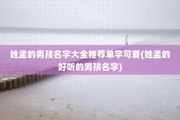 姓孟的男孩名字大全推荐单字可爱(姓孟的好听的男孩名字)