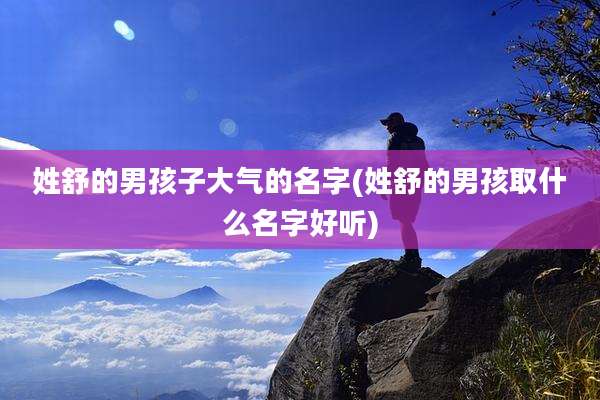 姓舒的男孩子大气的名字(姓舒的男孩取什么名字好听)