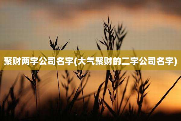 聚财两字公司名字(大气聚财的二字公司名字)