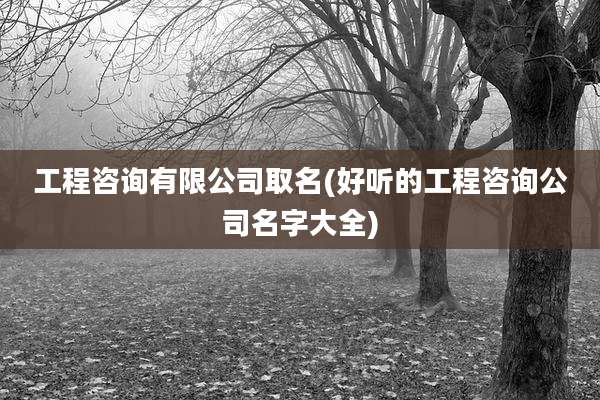 工程咨询有限公司取名(好听的工程咨询公司名字大全)