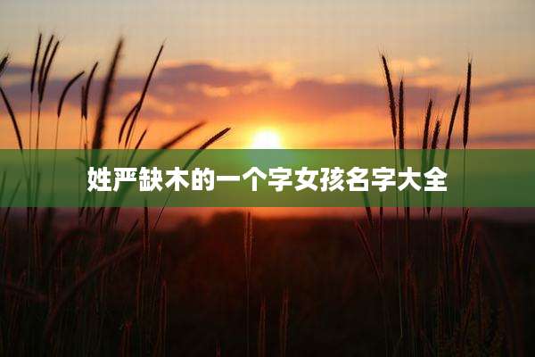 姓严缺木的一个字女孩名字大全