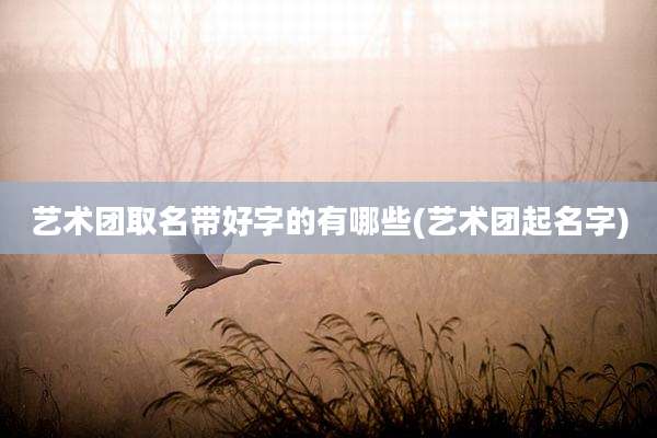 艺术团取名带好字的有哪些(艺术团起名字)