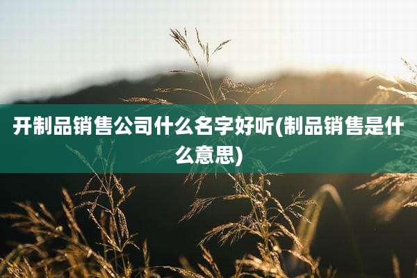 开制品销售公司什么名字好听(制品销售是什么意思)