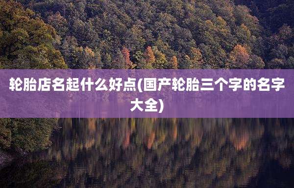 轮胎店名起什么好点(国产轮胎三个字的名字大全)