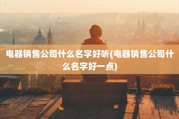 电器销售公司什么名字好听(电器销售公司什么名字好一点)
