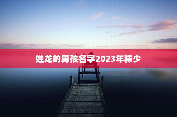 姓龙的男孩名字2023年稀少