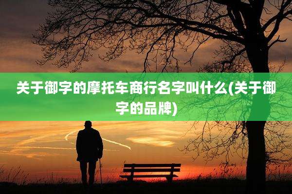 关于御字的摩托车商行名字叫什么(关于御字的品牌)