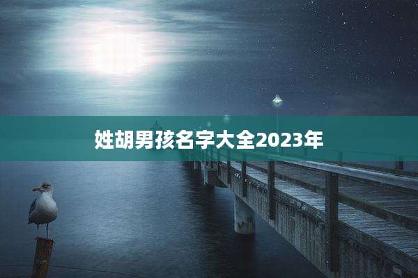 姓胡男孩名字大全2023年