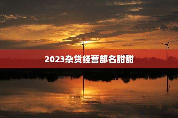 2023杂货经营部名甜甜