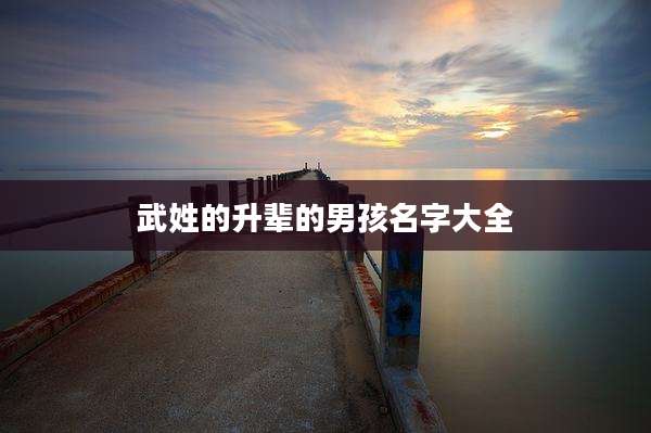 武姓的升辈的男孩名字大全