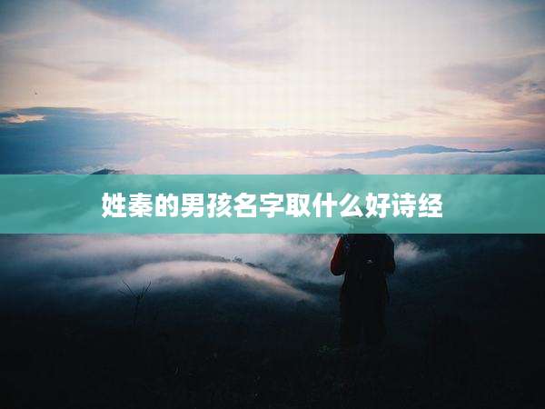 姓秦的男孩名字取什么好诗经