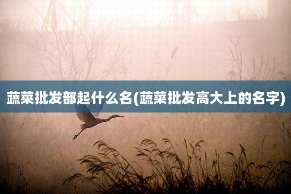 蔬菜批发部起什么名(蔬菜批发高大上的名字)