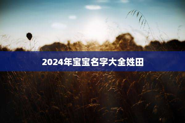 2024年宝宝名字大全姓田