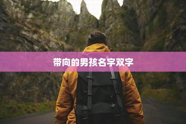 带向的男孩名字双字