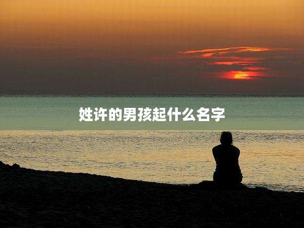 姓许的男孩起什么名字