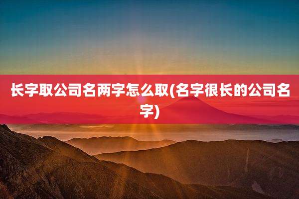 长字取公司名两字怎么取(名字很长的公司名字)