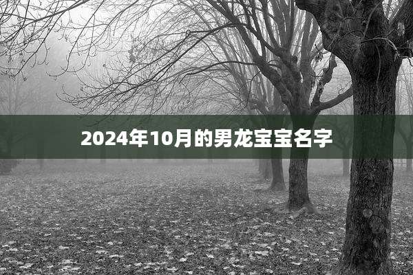 2024年10月的男龙宝宝名字