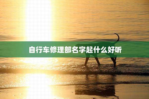 自行车修理部名字起什么好听
