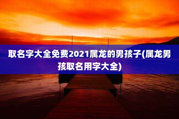 取名字大全免费2021属龙的男孩子(属龙男孩取名用字大全)