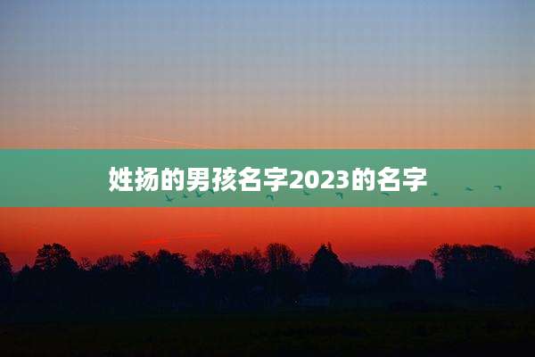 姓扬的男孩名字2023的名字